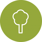 Environmental Impact assessments icon