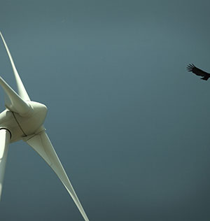 EIMS Energy Wind turbine